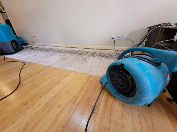 24/7 Emergency Water Damage Repair experts in Charleston, IL